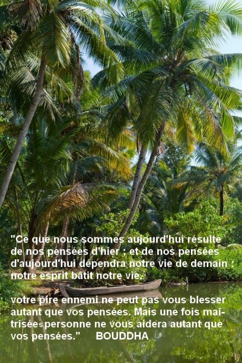 Nos pensées façonnent notre vie