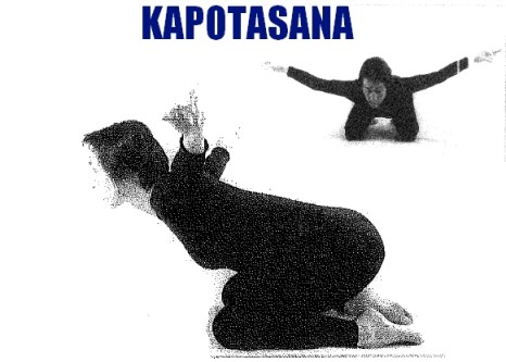 kapotasana